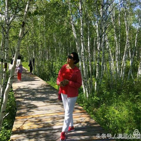黑龙江主播大哥是谁啊最新消息